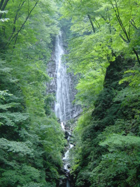 Dsc02423